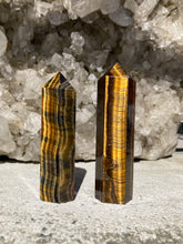 Load image into Gallery viewer, Tigerøje Tårne 6,5 - 8 cm