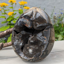 Indlæs billede til gallerivisning Septarie - drageæg