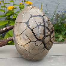 Indlæs billede til gallerivisning Septarie - drageæg