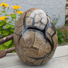 Indlæs billede til gallerivisning Septarie - drageæg