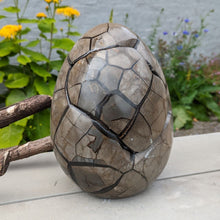 Indlæs billede til gallerivisning Septarie - drageæg