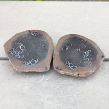 Indlæs billede til gallerivisning Små poleret septarie par