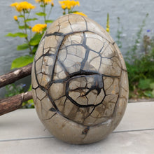 Indlæs billede til gallerivisning Septarie - drageæg