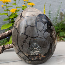 Indlæs billede til gallerivisning Septarie - drageæg