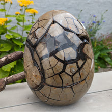 Indlæs billede til gallerivisning Septarie - drageæg