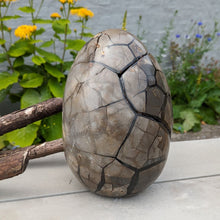 Indlæs billede til gallerivisning Septarie - drageæg