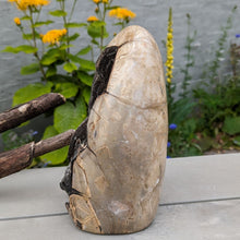 Indlæs billede til gallerivisning Septarie - drageæg