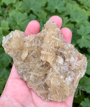 Indlæs billede til gallerivisning Gul Baryt