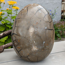 Indlæs billede til gallerivisning Septarie - drageæg