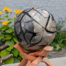 Indlæs billede til gallerivisning Septarie - drageæg