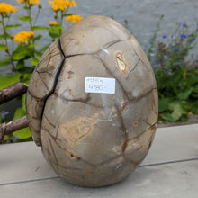 Indlæs billede til gallerivisning Septarie - drageæg