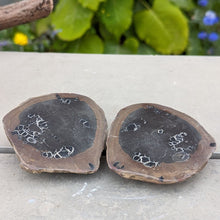 Indlæs billede til gallerivisning Små poleret septarie par