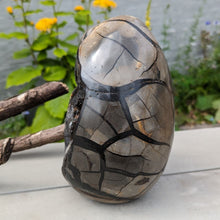 Indlæs billede til gallerivisning Septarie - drageæg