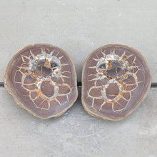 Indlæs billede til gallerivisning Små poleret septarie par