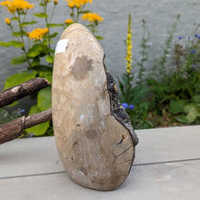 Indlæs billede til gallerivisning Septarie - drageæg