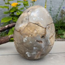 Indlæs billede til gallerivisning Septarie - drageæg