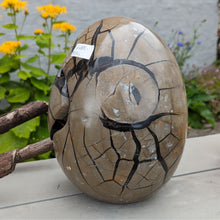 Indlæs billede til gallerivisning Septarie - drageæg