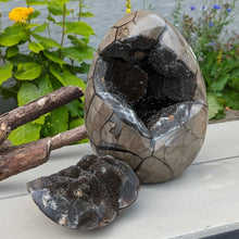 Indlæs billede til gallerivisning Septarie - drageæg