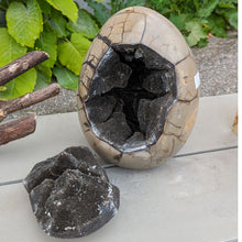 Indlæs billede til gallerivisning Septarie - drageæg