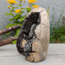 Indlæs billede til gallerivisning Septarie - drageæg