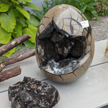 Indlæs billede til gallerivisning Septarie - drageæg