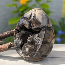 Indlæs billede til gallerivisning Septarie - drageæg