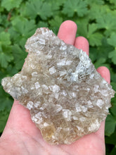 Indlæs billede til gallerivisning Gul Baryt