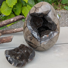 Indlæs billede til gallerivisning Septarie - drageæg