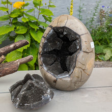 Indlæs billede til gallerivisning Septarie - drageæg