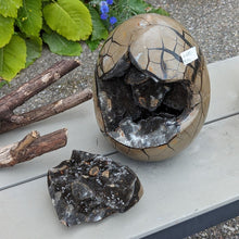Indlæs billede til gallerivisning Septarie - drageæg