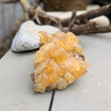 Indlæs billede til gallerivisning Gul hundetandscalcit