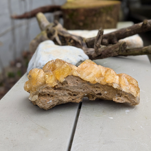 Indlæs billede til gallerivisning Gul hundetandscalcit