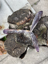 Load image into Gallery viewer, Ametyst