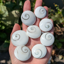 Indlæs billede til gallerivisning Shivas øje lommesten