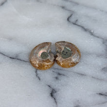 Load image into Gallery viewer, Små Poleret Ammonitter par