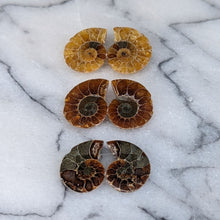 Load image into Gallery viewer, Små Poleret Ammonitter par