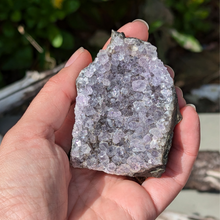 Indlæs billede til gallerivisning Små stående ametyster