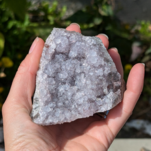 Indlæs billede til gallerivisning Små stående ametyster