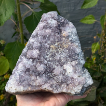 Indlæs billede til gallerivisning Stående ametyster