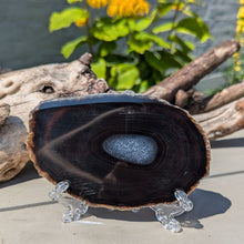 Load image into Gallery viewer, Agat skive