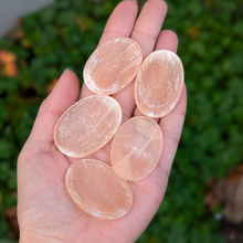 Load image into Gallery viewer, Alabast nussesten