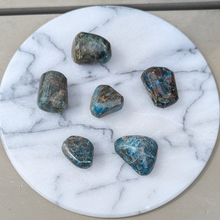 Load image into Gallery viewer, Apatit lommesten