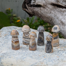 Load image into Gallery viewer, Aragonit svampe