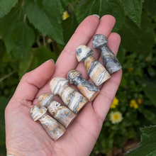 Load image into Gallery viewer, Aragonit svampe