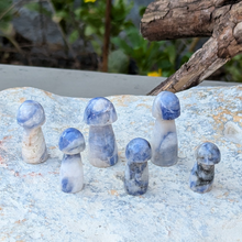 Load image into Gallery viewer, Blå kvarts svampe