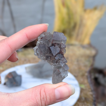 Indlæs billede til gallerivisning Kubisk blå fluorit