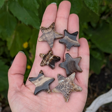 Load image into Gallery viewer, Chokolade calcit stjerner