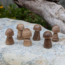 Load image into Gallery viewer, Chokolade calcit svampe