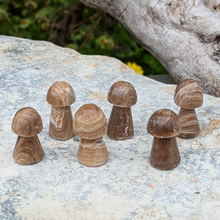 Load image into Gallery viewer, Chokolade calcit svampe