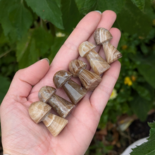 Load image into Gallery viewer, Chokolade calcit svampe